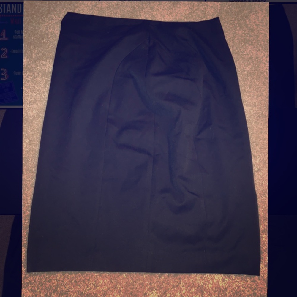 Express dress skirt